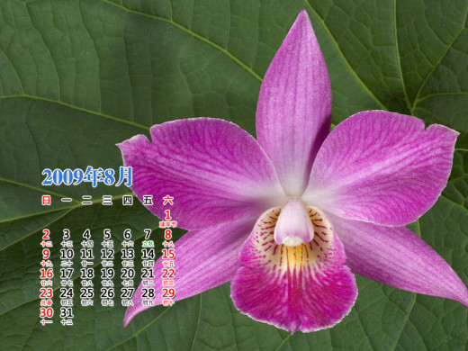 399155 (a): :1024x768